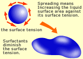 the surface tention